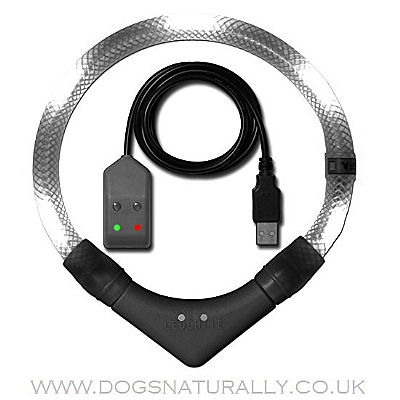 Leuchtie Premium Easy Charge White LED Dog Collar